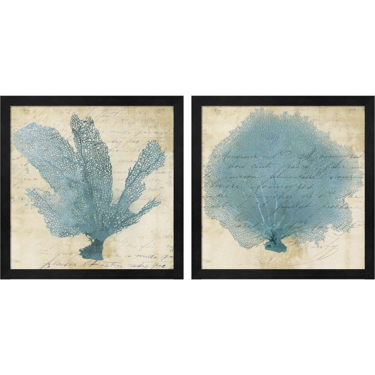 Blue Coral by Posters International Studio, 2 Piece Black Framed Art Set